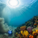 Ocean Discovery: The Unseen Key to Solving the Climate Crisis